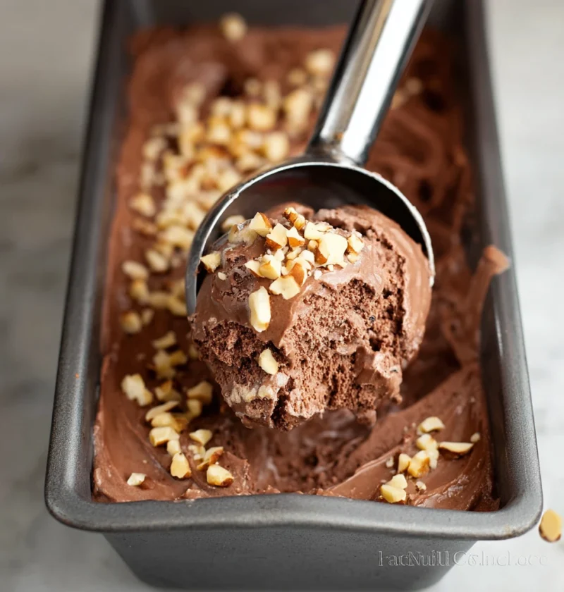 Chocolate Coconut Milk Ice Cream